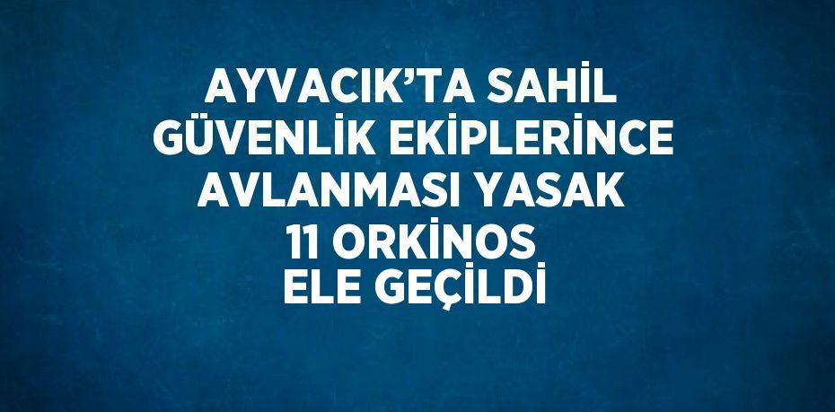 AYVACIK’TA SAHİL GÜVENLİK EKİPLERİNCE AVLANMASI YASAK 11 ORKİNOS ELE GEÇİLDİ