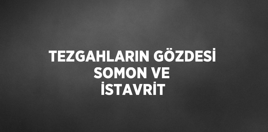 TEZGAHLARIN GÖZDESİ SOMON VE İSTAVRİT