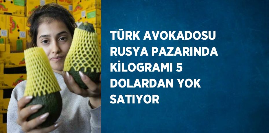 TÜRK AVOKADOSU RUSYA PAZARINDA KİLOGRAMI 5 DOLARDAN YOK SATIYOR