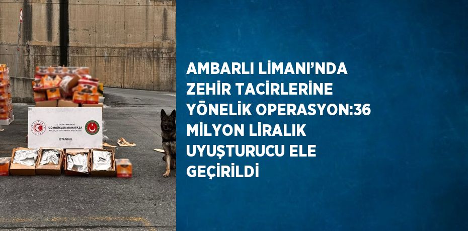 AMBARLI LİMANI’NDA ZEHİR TACİRLERİNE YÖNELİK OPERASYON:36 MİLYON LİRALIK UYUŞTURUCU ELE GEÇİRİLDİ