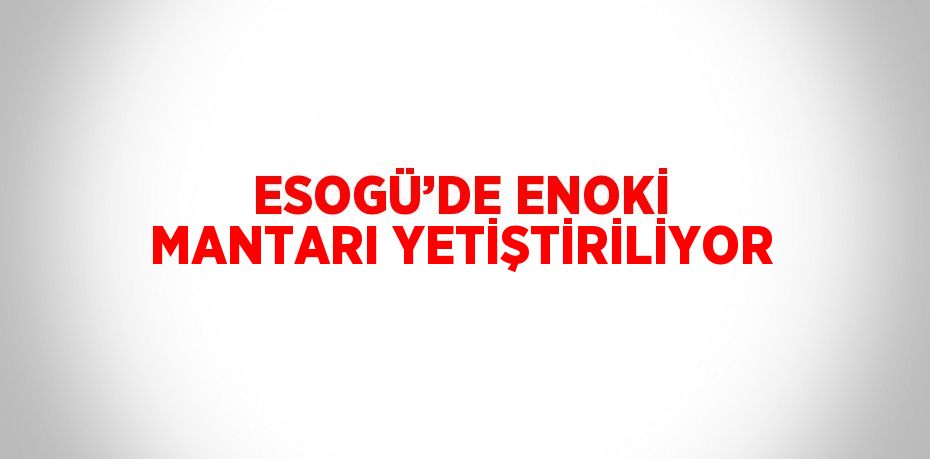ESOGÜ’DE ENOKİ MANTARI YETİŞTİRİLİYOR