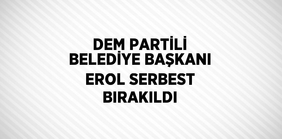 DEM PARTİLİ BELEDİYE BAŞKANI EROL SERBEST BIRAKILDI