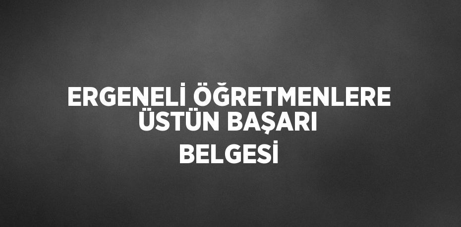 ERGENELİ ÖĞRETMENLERE ÜSTÜN BAŞARI BELGESİ