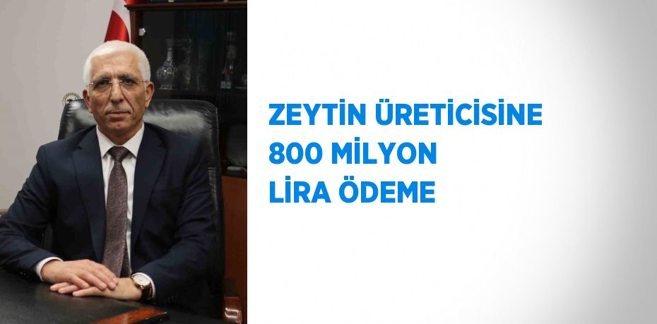 ZEYTİN ÜRETİCİSİNE 800 MİLYON LİRA ÖDEME