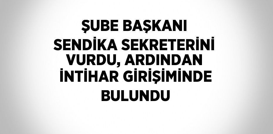 ŞUBE BAŞKANI SENDİKA SEKRETERİNİ VURDU, ARDINDAN İNTİHAR GİRİŞİMİNDE BULUNDU