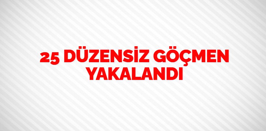 25 DÜZENSİZ GÖÇMEN YAKALANDI