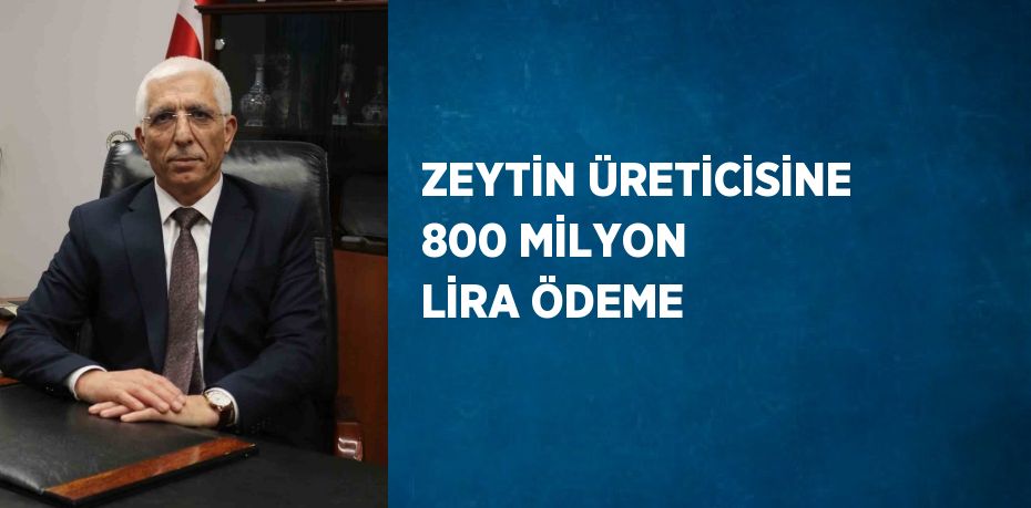 ZEYTİN ÜRETİCİSİNE 800 MİLYON LİRA ÖDEME