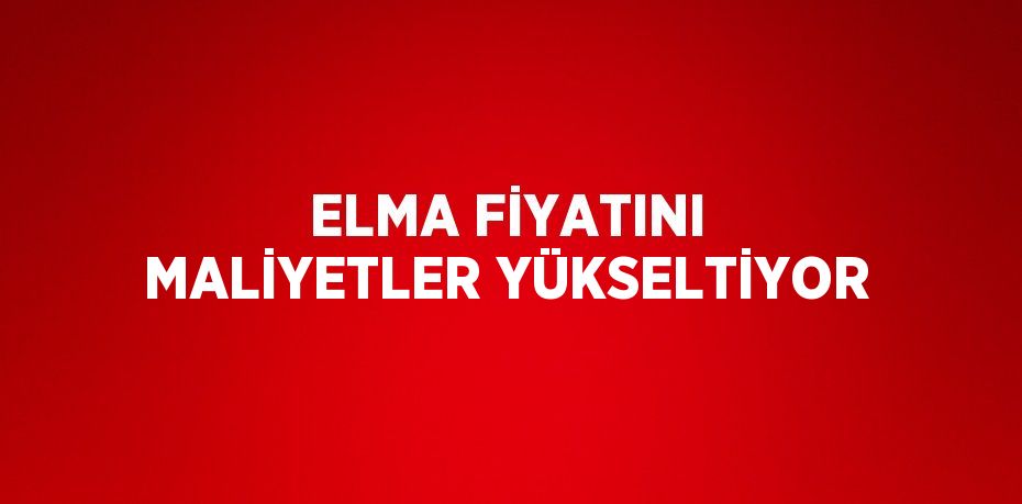 ELMA FİYATINI MALİYETLER YÜKSELTİYOR