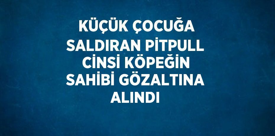 KÜÇÜK ÇOCUĞA SALDIRAN PİTPULL CİNSİ KÖPEĞİN SAHİBİ GÖZALTINA ALINDI