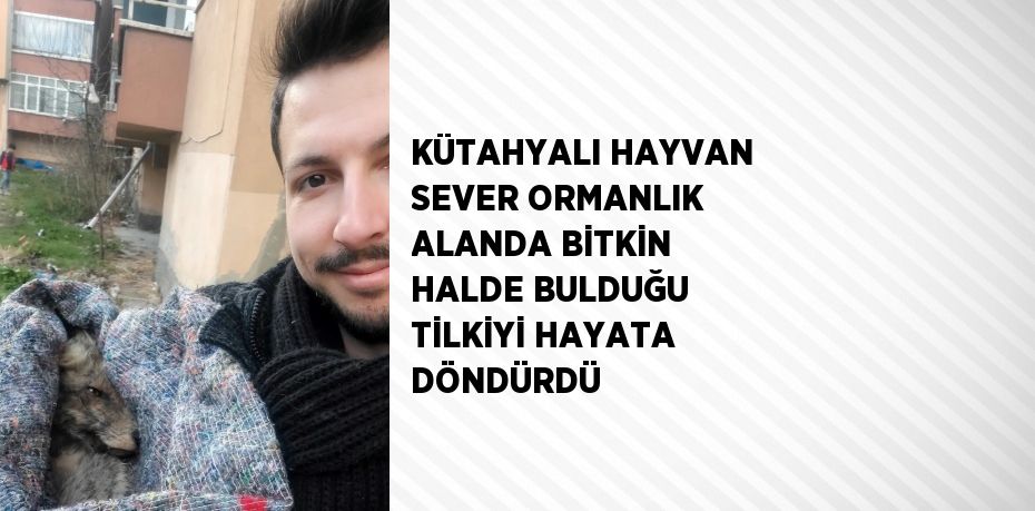 KÜTAHYALI HAYVAN SEVER ORMANLIK ALANDA BİTKİN HALDE BULDUĞU TİLKİYİ HAYATA DÖNDÜRDÜ