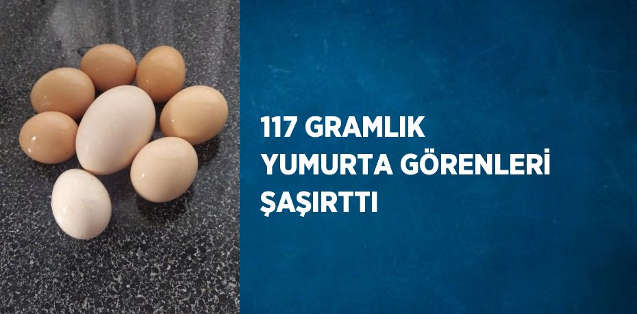 117 GRAMLIK YUMURTA GÖRENLERİ ŞAŞIRTTI