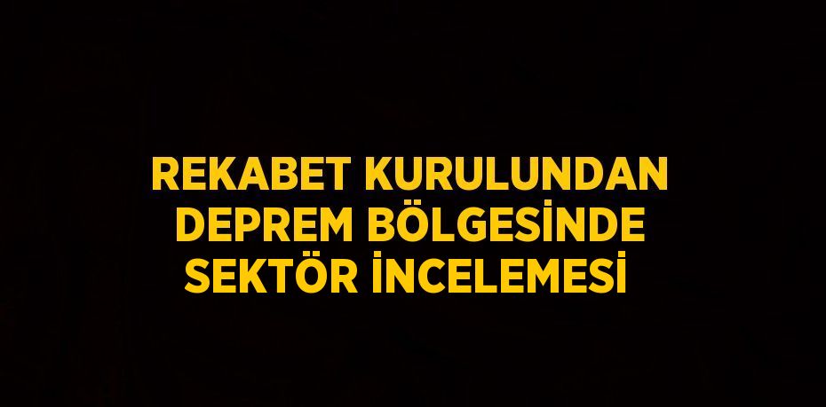 REKABET KURULUNDAN DEPREM BÖLGESİNDE SEKTÖR İNCELEMESİ