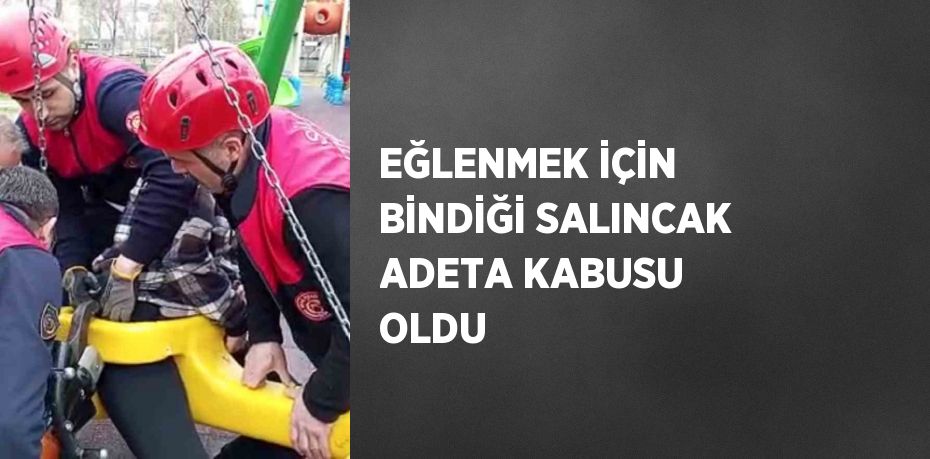 EĞLENMEK İÇİN BİNDİĞİ SALINCAK ADETA KABUSU OLDU