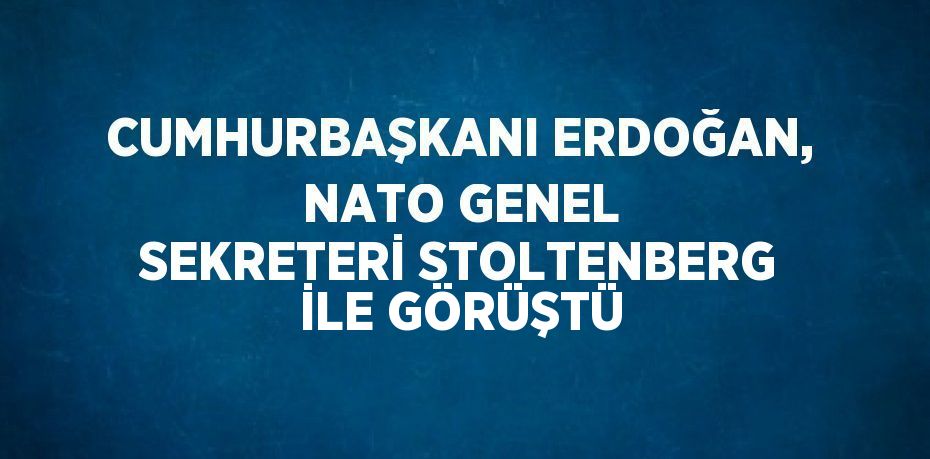 CUMHURBAŞKANI ERDOĞAN, NATO GENEL SEKRETERİ STOLTENBERG İLE GÖRÜŞTÜ