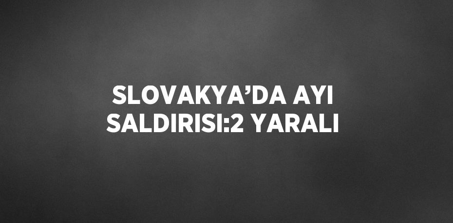 SLOVAKYA’DA AYI SALDIRISI:2 YARALI