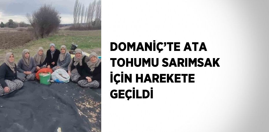 DOMANİÇ’TE ATA TOHUMU SARIMSAK İÇİN HAREKETE GEÇİLDİ