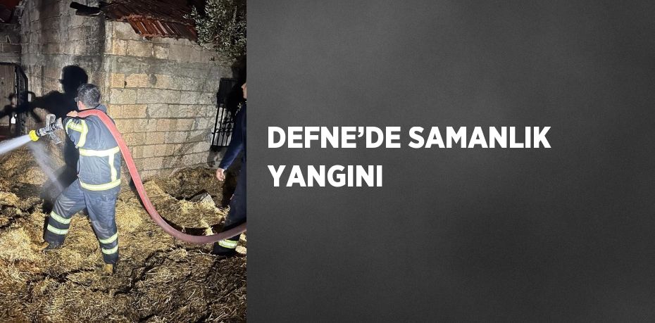 DEFNE’DE SAMANLIK YANGINI