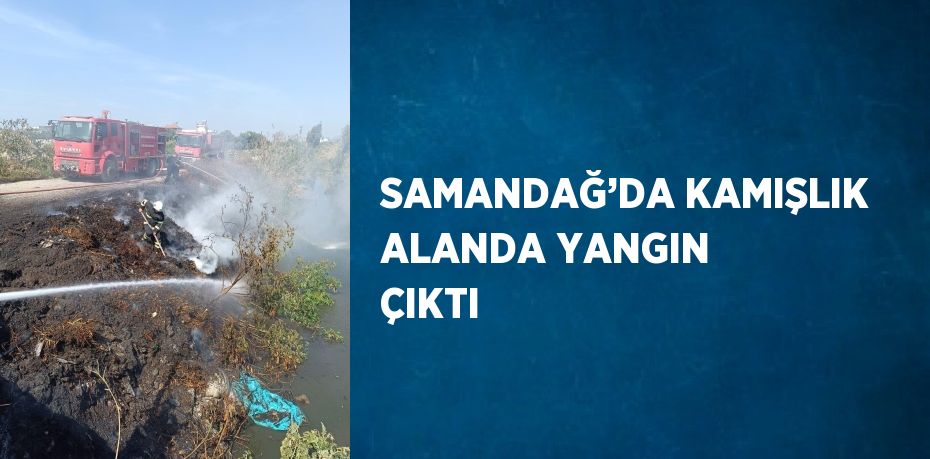 SAMANDAĞ’DA KAMIŞLIK ALANDA YANGIN ÇIKTI