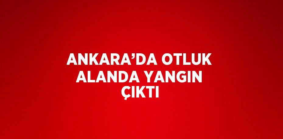 ANKARA’DA OTLUK ALANDA YANGIN ÇIKTI