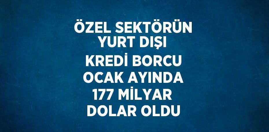 ÖZEL SEKTÖRÜN YURT DIŞI KREDİ BORCU OCAK AYINDA 177 MİLYAR DOLAR OLDU