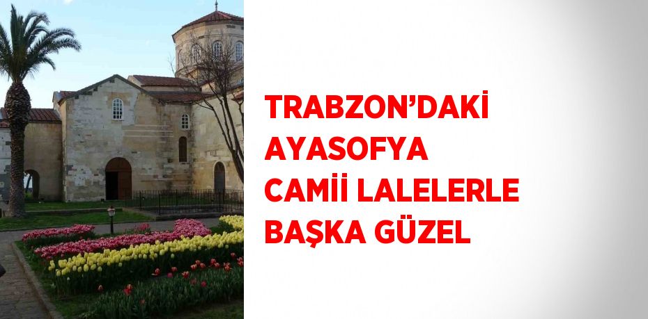 TRABZON’DAKİ AYASOFYA CAMİİ LALELERLE BAŞKA GÜZEL