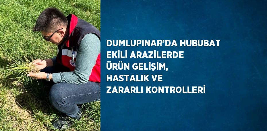 DUMLUPINAR’DA HUBUBAT EKİLİ ARAZİLERDE ÜRÜN GELİŞİM, HASTALIK VE ZARARLI KONTROLLERİ