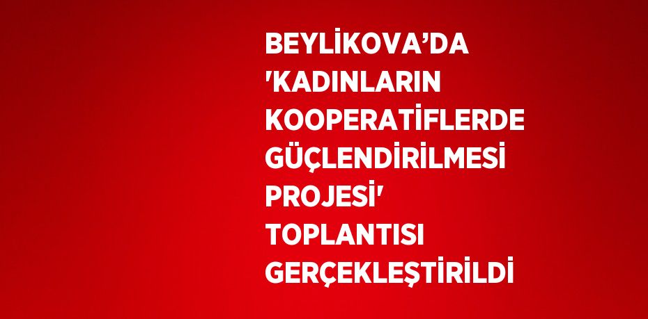 BEYLİKOVA’DA  'KADINLARIN KOOPERATİFLERDE GÜÇLENDİRİLMESİ PROJESİ' TOPLANTISI GERÇEKLEŞTİRİLDİ