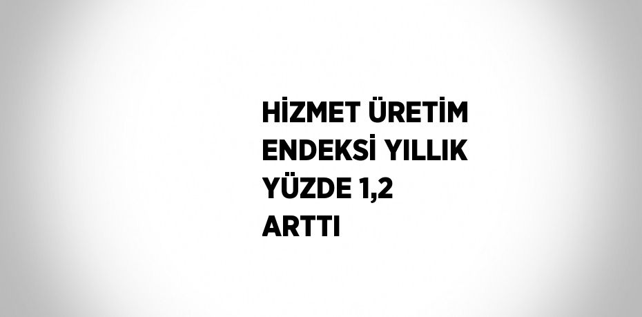 HİZMET ÜRETİM ENDEKSİ YILLIK YÜZDE 1,2 ARTTI