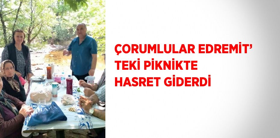 ÇORUMLULAR EDREMİT’ TEKİ PİKNİKTE HASRET GİDERDİ