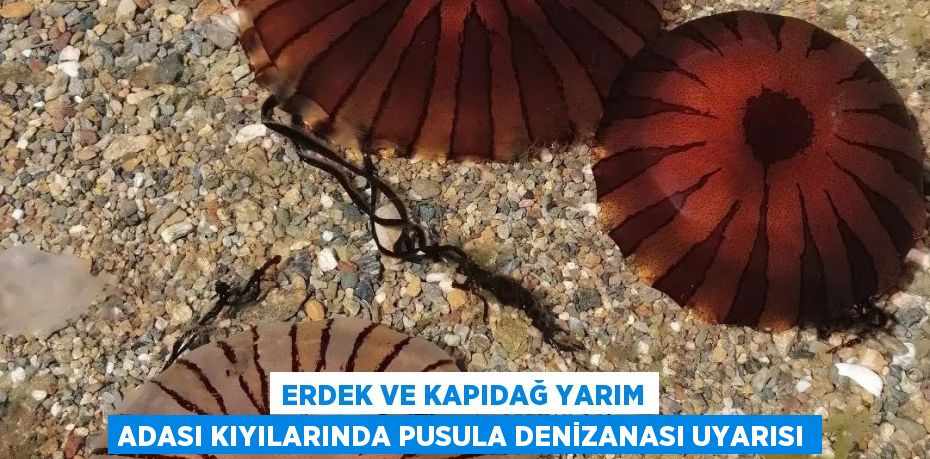 ERDEK VE KAPIDAĞ YARIM ADASI KIYILARINDA PUSULA DENİZANASI UYARISI