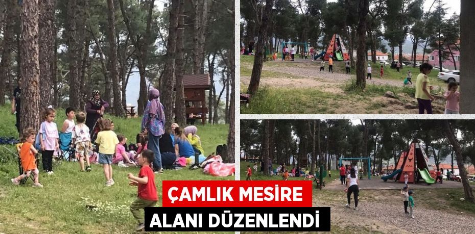 ÇAMLIK MESİRE ALANI DÜZENLENDİ