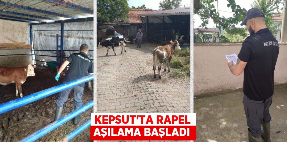 KEPSUT’TA RAPEL AŞILAMA BAŞLADI