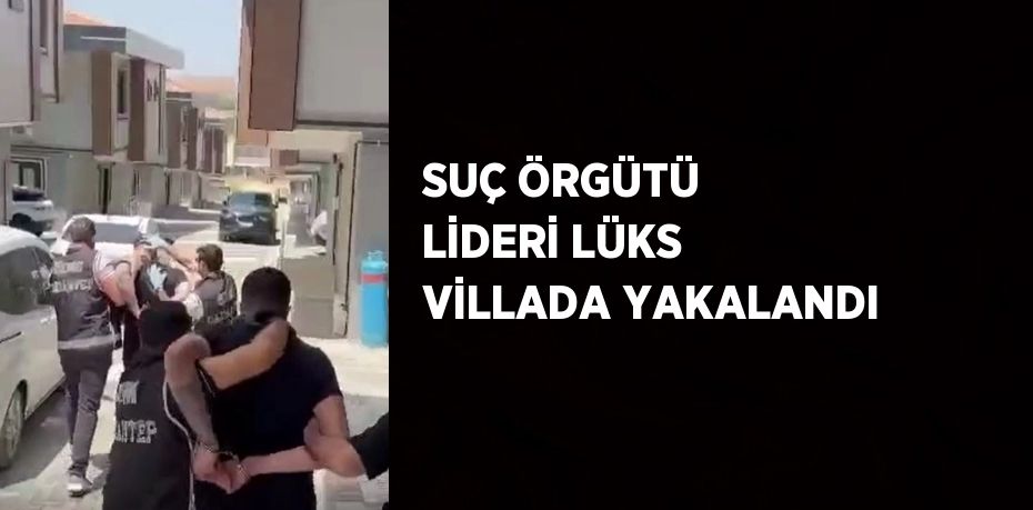 SUÇ ÖRGÜTÜ LİDERİ LÜKS VİLLADA YAKALANDI