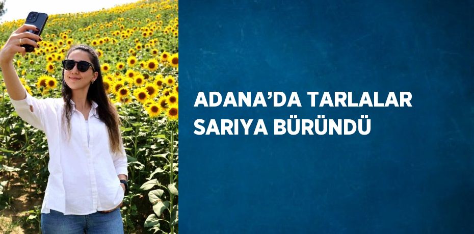 ADANA’DA TARLALAR SARIYA BÜRÜNDÜ