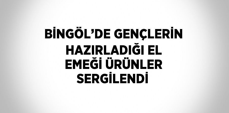 BİNGÖL’DE GENÇLERİN HAZIRLADIĞI EL EMEĞİ ÜRÜNLER SERGİLENDİ