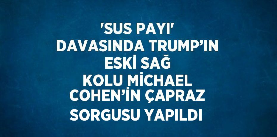 'SUS PAYI' DAVASINDA TRUMP’IN ESKİ SAĞ KOLU MİCHAEL COHEN’İN ÇAPRAZ SORGUSU YAPILDI