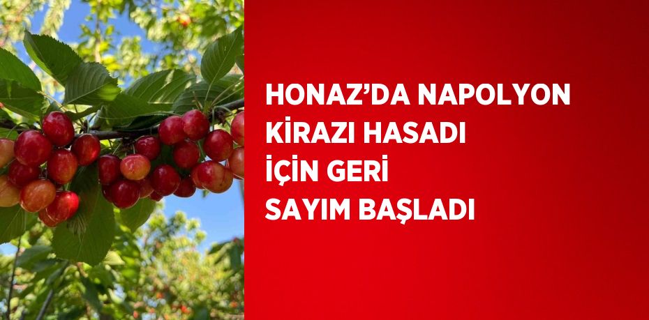 HONAZ’DA NAPOLYON KİRAZI HASADI İÇİN GERİ SAYIM BAŞLADI