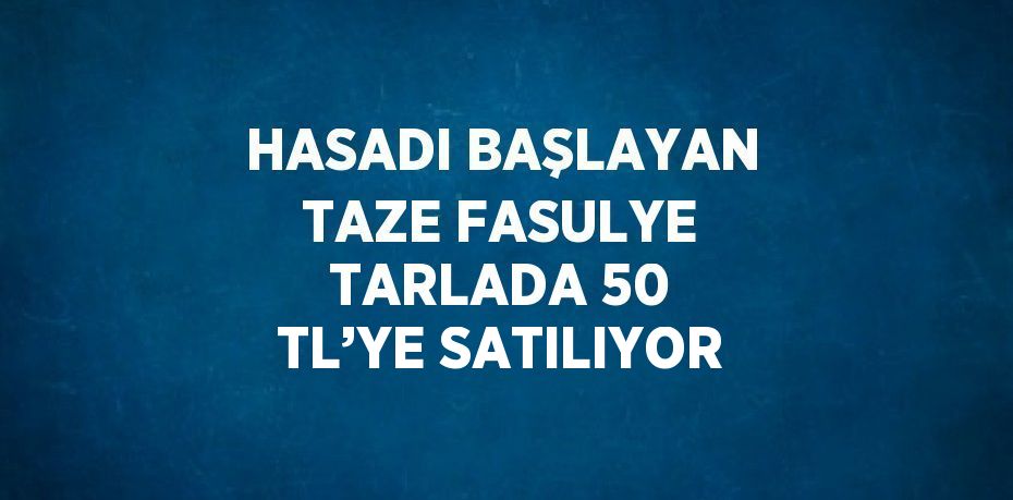 HASADI BAŞLAYAN TAZE FASULYE TARLADA 50 TL’YE SATILIYOR