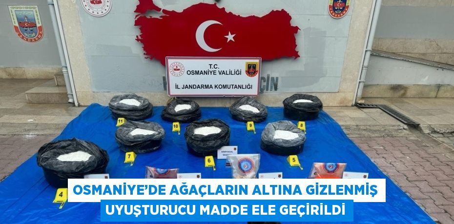 OSMANİYE’DE AĞAÇLARIN ALTINA GİZLENMİŞ UYUŞTURUCU MADDE ELE GEÇİRİLDİ