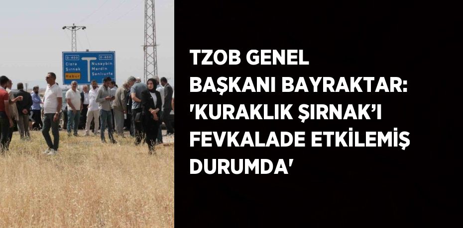 TZOB GENEL BAŞKANI BAYRAKTAR: 'KURAKLIK ŞIRNAK’I FEVKALADE ETKİLEMİŞ DURUMDA'