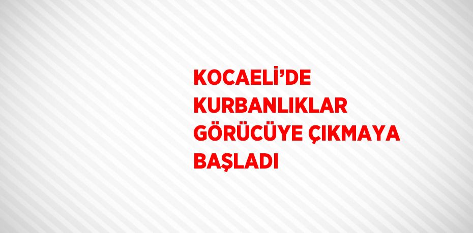 KOCAELİ’DE KURBANLIKLAR GÖRÜCÜYE ÇIKMAYA BAŞLADI