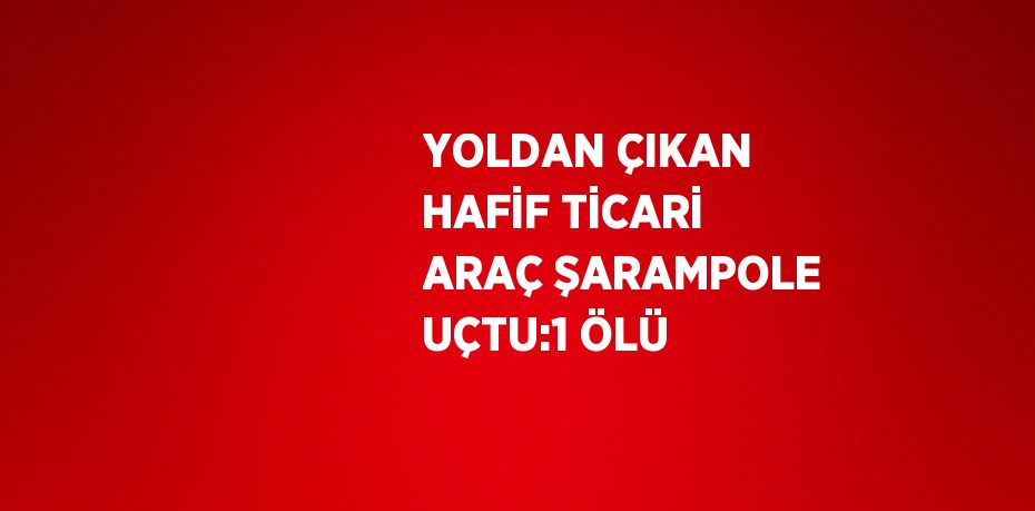 YOLDAN ÇIKAN HAFİF TİCARİ ARAÇ ŞARAMPOLE UÇTU:1 ÖLÜ