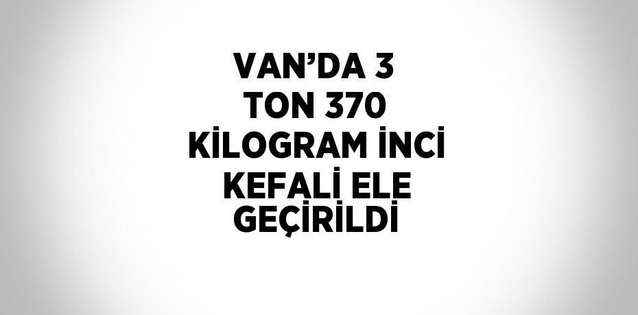 VAN’DA 3 TON 370 KİLOGRAM İNCİ KEFALİ ELE GEÇİRİLDİ