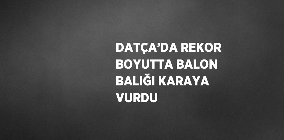 DATÇA’DA REKOR BOYUTTA BALON BALIĞI KARAYA VURDU