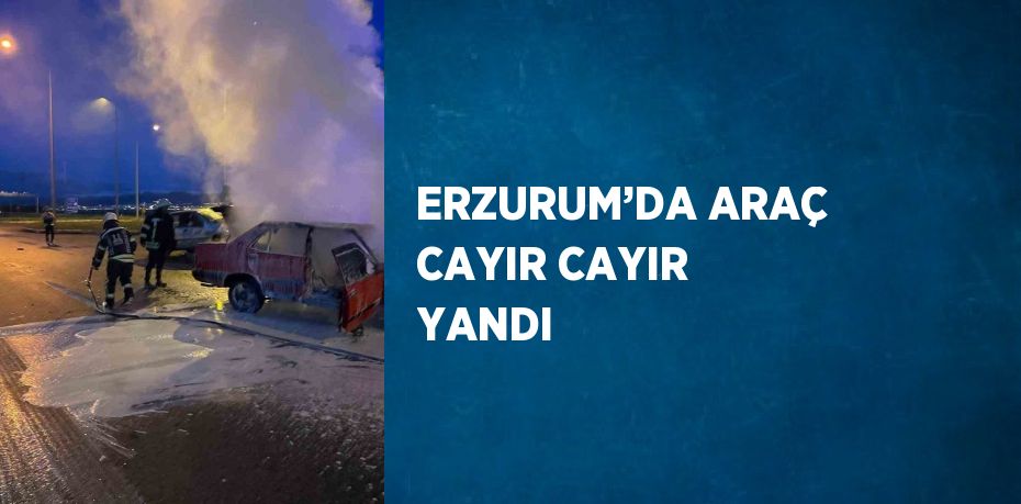 ERZURUM’DA ARAÇ CAYIR CAYIR YANDI