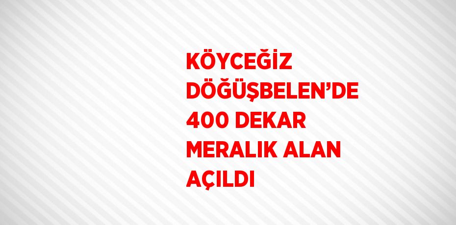 KÖYCEĞİZ DÖĞÜŞBELEN’DE 400 DEKAR MERALIK ALAN AÇILDI