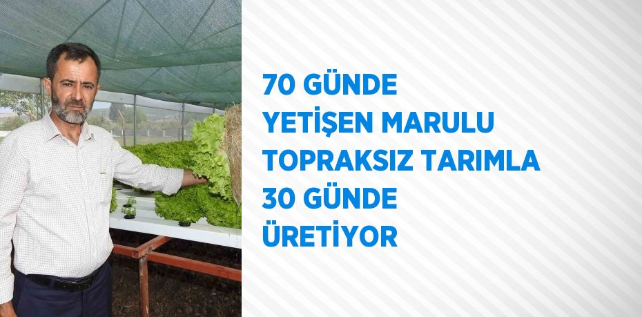 70 GÜNDE YETİŞEN MARULU TOPRAKSIZ TARIMLA 30 GÜNDE ÜRETİYOR