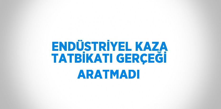 ENDÜSTRİYEL KAZA TATBİKATI GERÇEĞİ ARATMADI