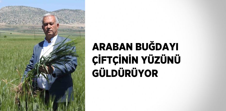 ARABAN BUĞDAYI ÇİFTÇİNİN YÜZÜNÜ GÜLDÜRÜYOR