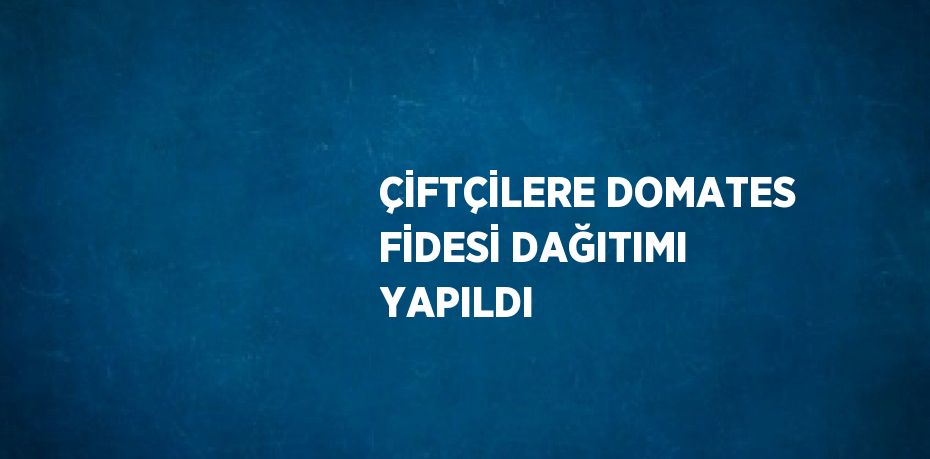 ÇİFTÇİLERE DOMATES FİDESİ DAĞITIMI YAPILDI